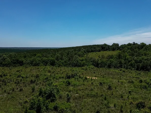 6687 Green Grove Rd, Lumpkin, GA 31815