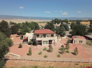 19684 Irving Rd, Austin, CO 81410