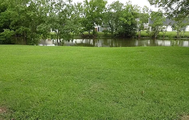 23 Magnolia Dr — Photo 6