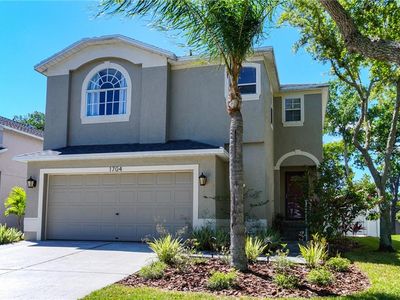 1704 Split Fork Dr, Oldsmar, FL, 34677