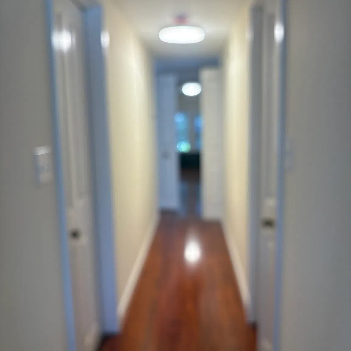 1 bed, 1.0 bath, 800 sqft, $2,750 — Photo 2