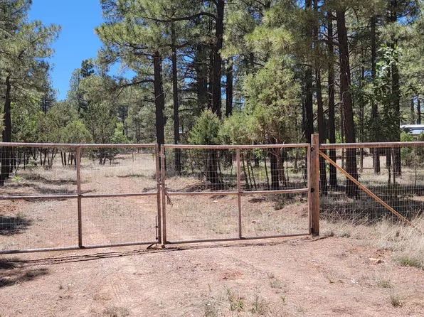 2778 Canyon Ridge Rd, Overgaard, AZ 85933
