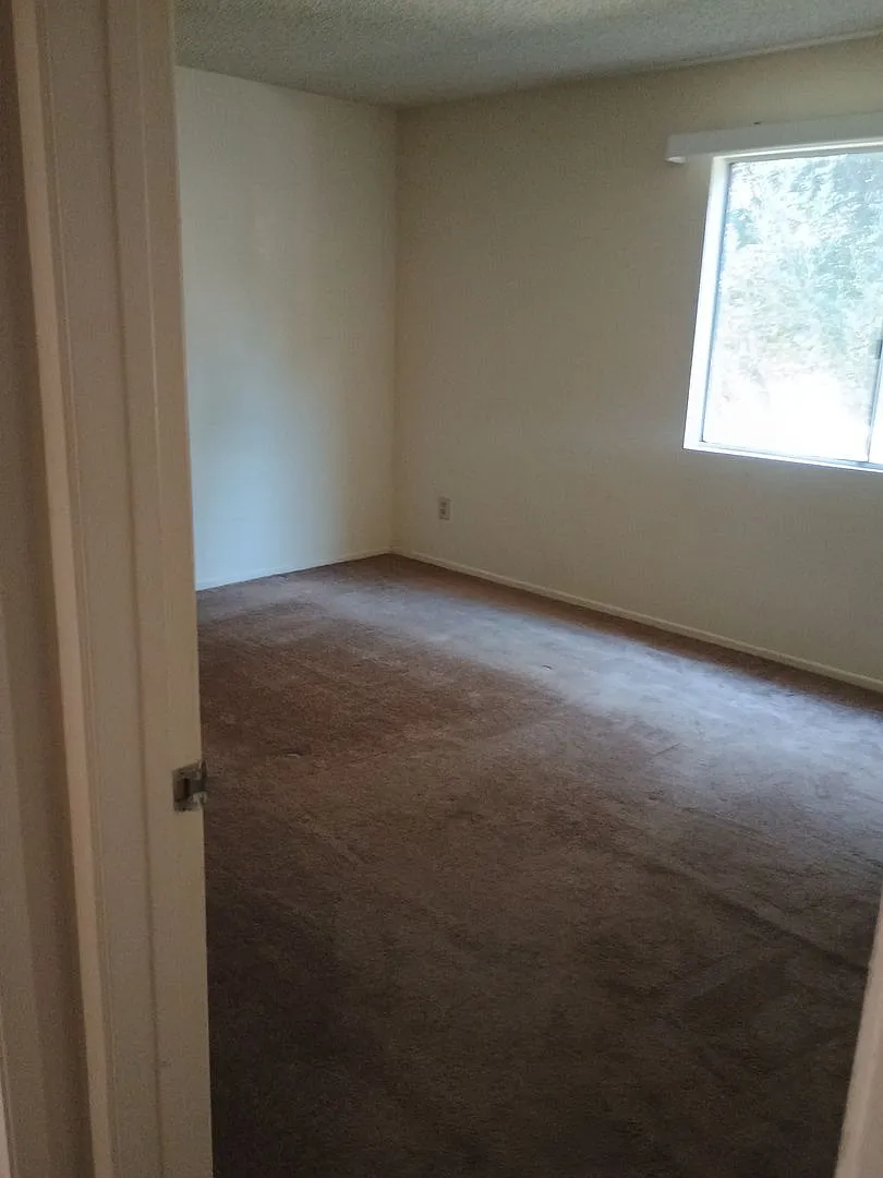 Violin Canyon Terrace LLC — Photo 3