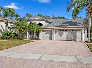 17384 Emerald Chase Dr, Tampa, FL 33647