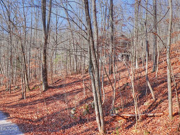 5th image of 18 Catawba Ln Lot 18