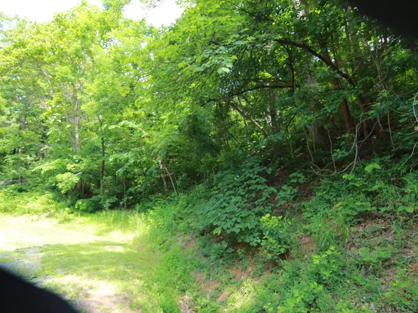 1757 Black Walnut Dr, Nellysford, VA 22958