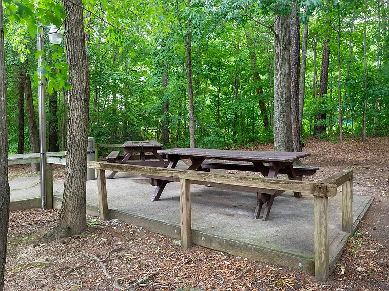 Picnic Area