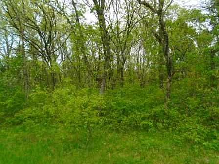 1st image of 9.26 Ac Hwy #58-N