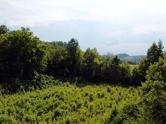 2nd image of 0 Blue Springs Rd