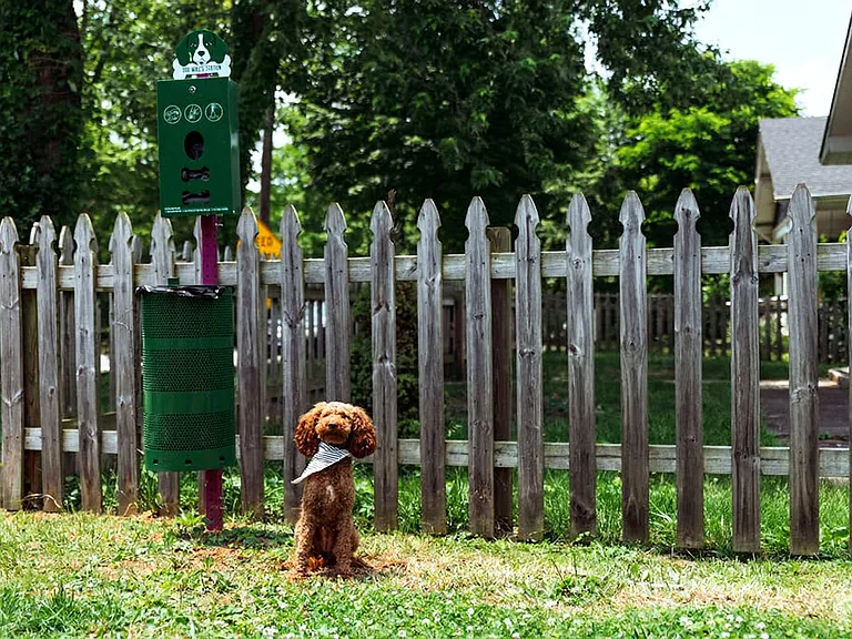 Neighborhood