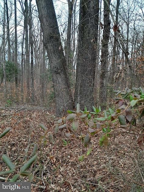 2nd image of 10816 Lucks Rd