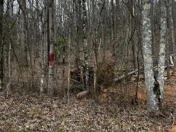 Peckerwood Rd, Hayesville, NC 28904