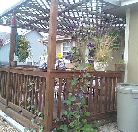 Back Deck