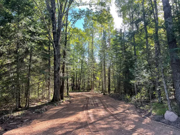 Lot 2 Fadness Road, Winter, WI 54896