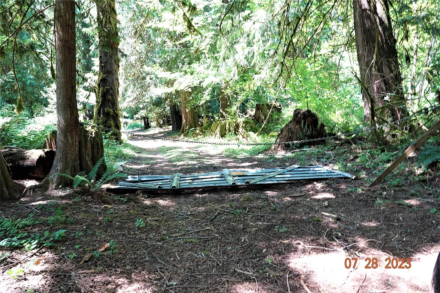 135 Cedar Grove Road photo 1