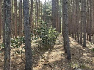 PARCEL 42 Pinecone Ct, Necedah, WI 54646
