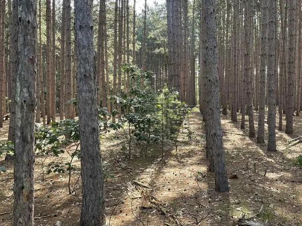 Parcel 42 Pinecone Court #42, Necedah, WI 54646