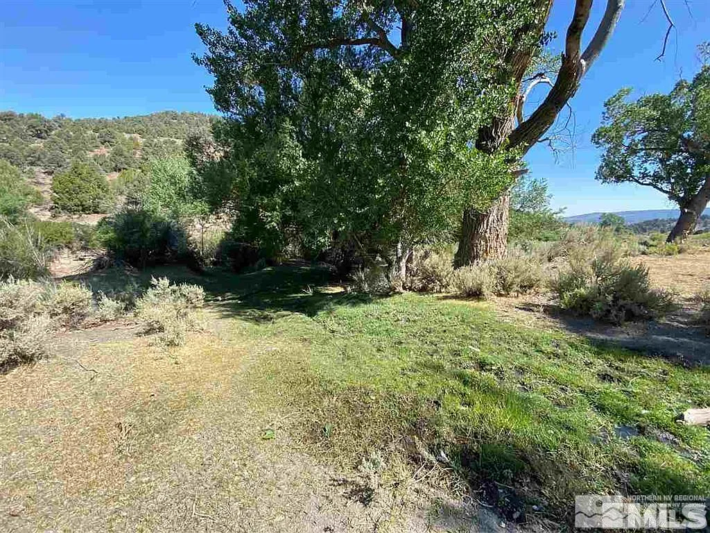 Virginia City Rnch photo 1