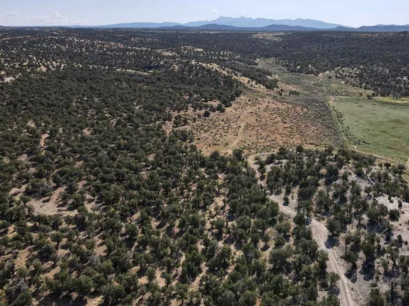 TBD Road L, Mancos, CO 81328