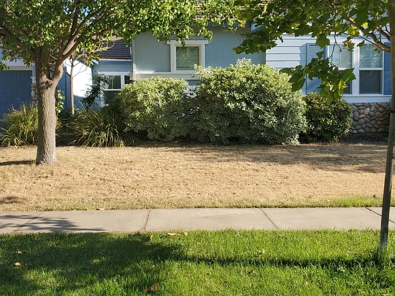 1368 Night Heron St — Photo 3