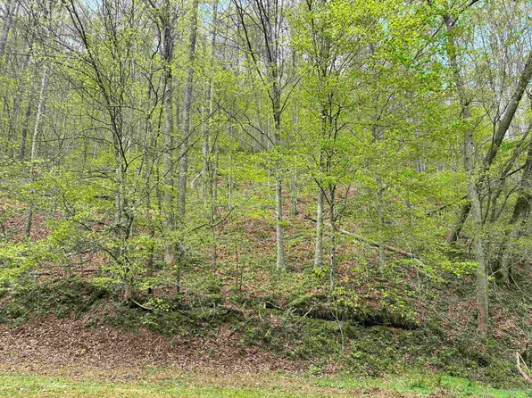 Donithan Rd, Louisa, KY 41230
