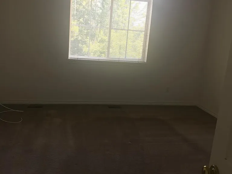 791 Nighthawk Cir — Photo 3