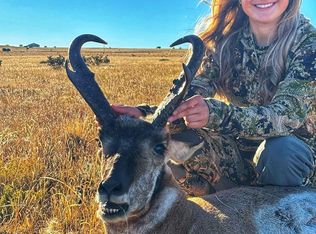 19 Majors Ranch Rd, Walsenburg, CO 81089