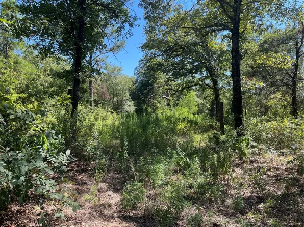 539 Vz County Rd #4409, Ben Wheeler, TX 75754