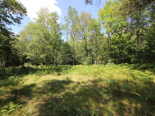 7414 E 84th St, Chase, MI 49623
