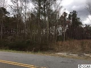 2nd image of 5 Acres Hughes Gasque Rd.