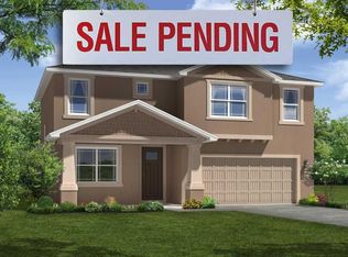 12261 Creek Preserve Dr, Riverview, FL 33579