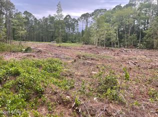 348 Georgetown Denver Rd, Georgetown, FL 32139