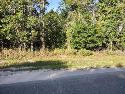 SW 148th Place Rd Lot 11, Ocala, FL, 34473