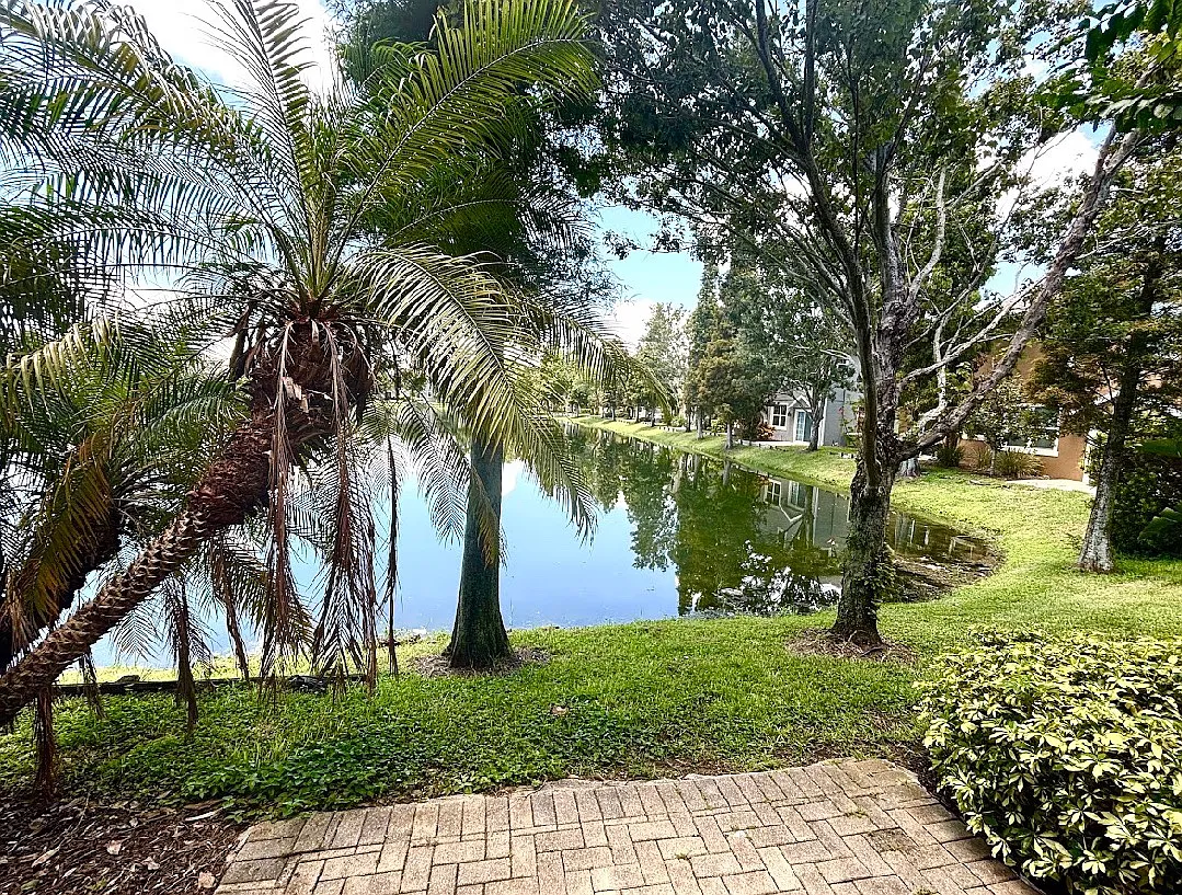 2 bed, 1260 sqft, $2,100 — Photo 2