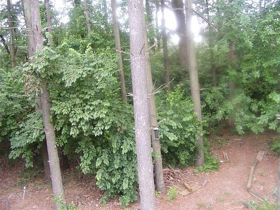 5th image of 6852 Evergreen Cir