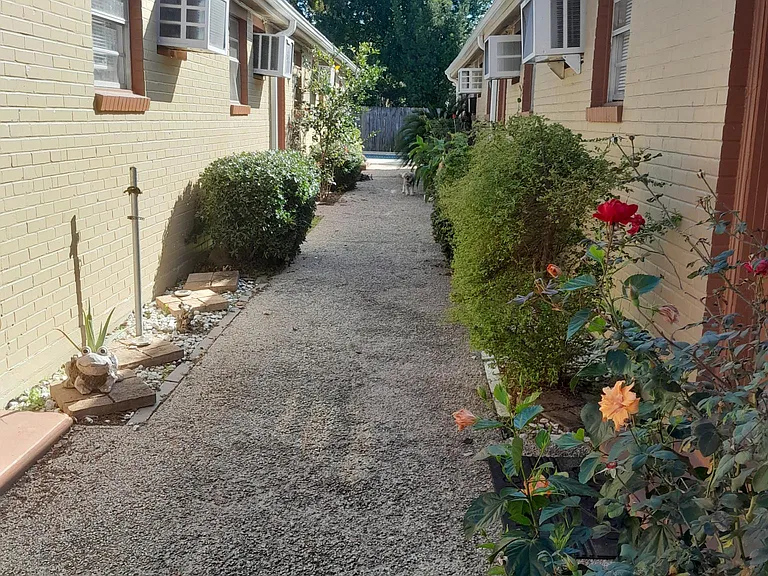 419 Fern St #B — Photo 3