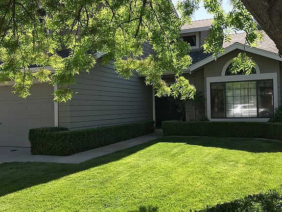 Front yard