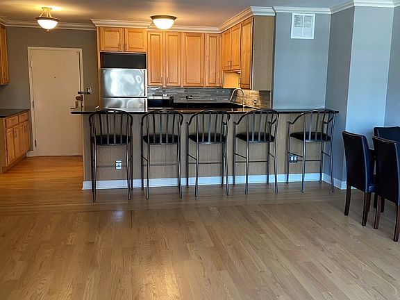 4th image of 777 N Michigan Ave APT 3208