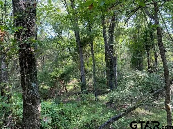 Township Road 3 Cres #A-41514, Athens, TX 75751