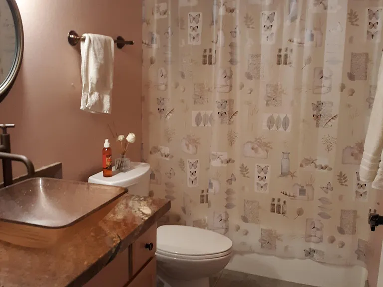 855 W Paseo Del Prado — Photo 8
