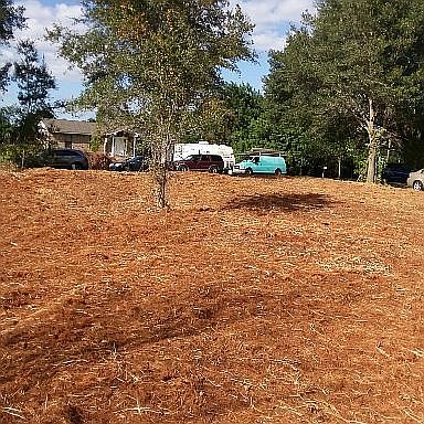 4th image of 11053 Vanessa Ave