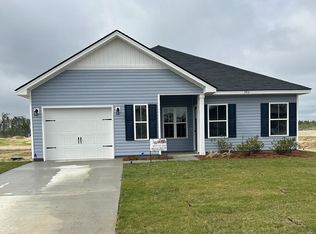 392 McClelland Loop NE, Ludowici, GA 31316