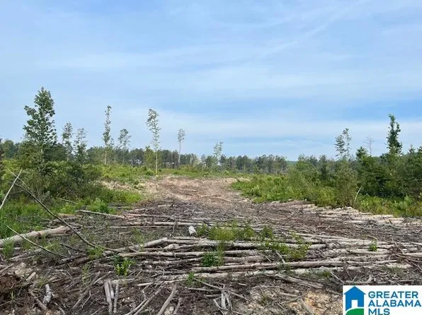 78975 Highway 9, Ashland, AL 36251