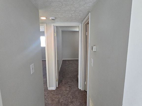 4th image of 3217 Springfield Dr #3217SPRINGFIELD-3
