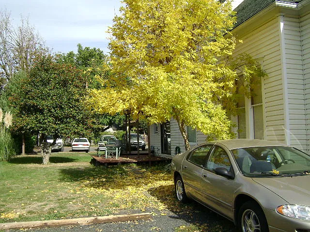 1 bed, 1100 sqft, $1,400 — Photo 2