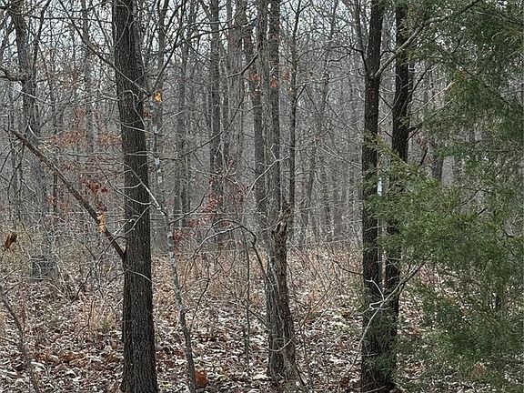 2nd image of 0 Gobblers Knob Rd