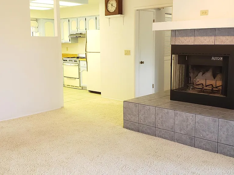 1602 Luna Ct — Photo 21