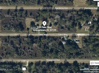 518 Palm Way, Georgetown, FL 32139