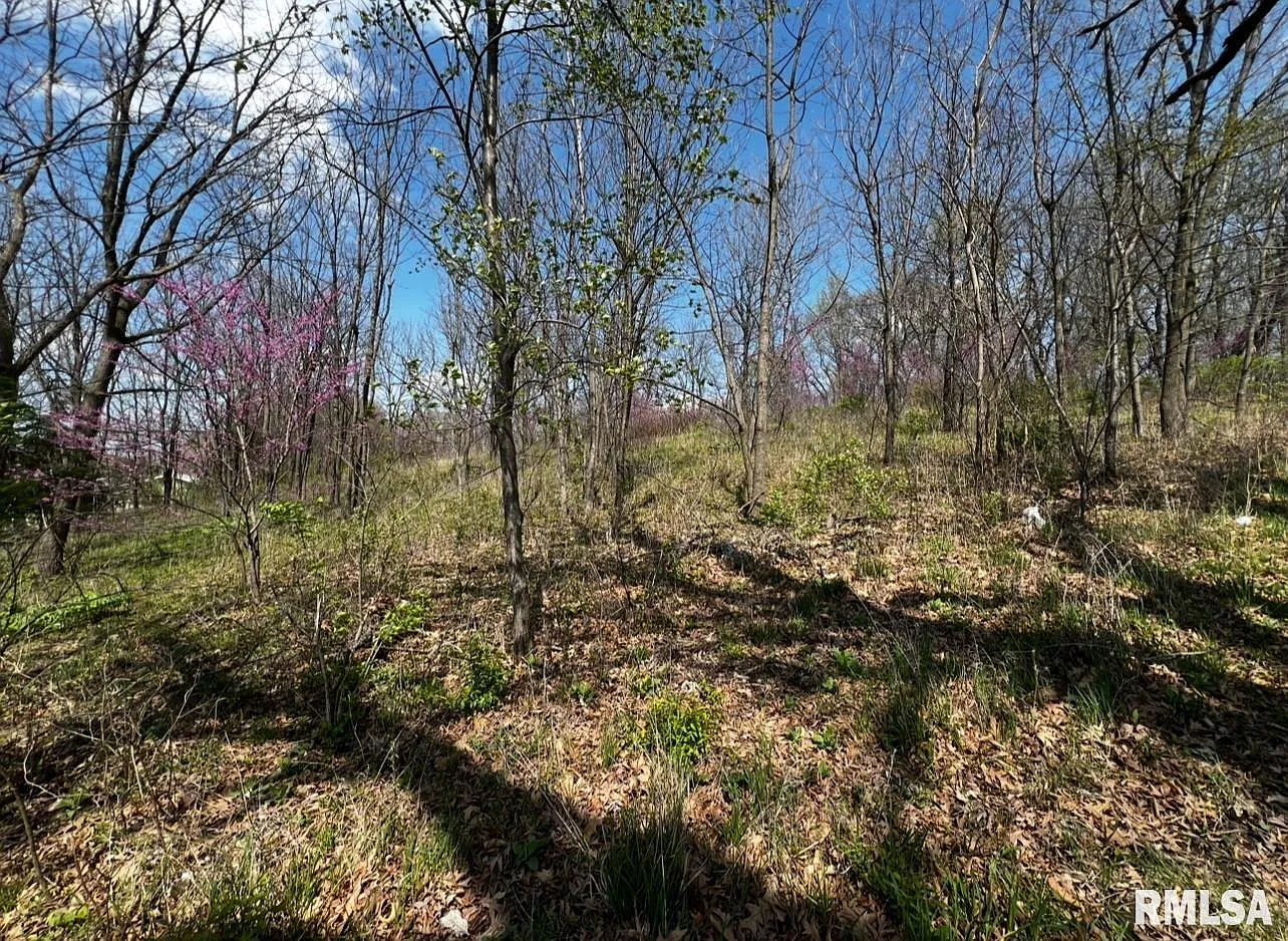 LOT 201 James St photo 1