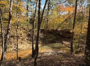 23791 State Highway 64 E #E, Troup, TX 75789